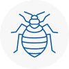 Bed Bug Extermination In Longbenton