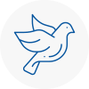 Bird Prevention Longbenton