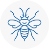 Longbenton Hornet Nest Removals