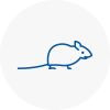 Mice Exterminators In Longbenton