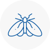 Moth Control Specialists In Longbenton