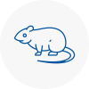 Rat Control Longbenton