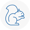 Longbenton Rodent Removals