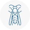Longbenton Wasp Nest Removal